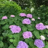 大塚性海寺歴史公園