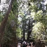 熊野古道大門坂
