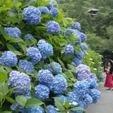 西法院