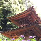 日龍峰寺（高沢観音）