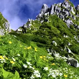 駒ケ岳
