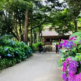 阿弥陀寺