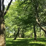 丸山公園
