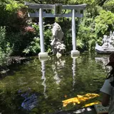 黄金池