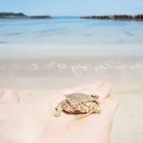 千酌海水浴場(ちくみ)