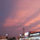 楽天モバイル ケーズデンキ 茂原本店