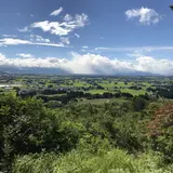 いいでどんでん平ゆり園