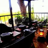 Bar Gekko