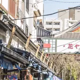 花やしき通り