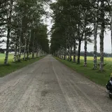 音更町