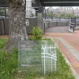 若松浜