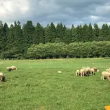 星と自然館