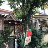 レマンの森