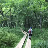 小田代ヶ原