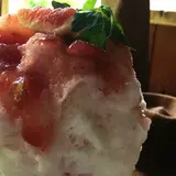 山猫