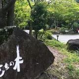渓谷別庭 もちの木
