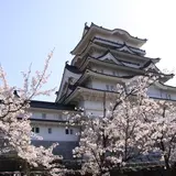 勝山城博物館
