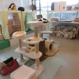 猫の博物館