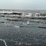 九十九里海岸
