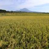 植田正治写真美術館