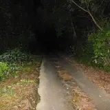 日本
