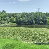 岡崎市 南公園