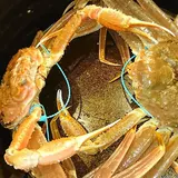 日々魚数寄 東木