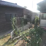 お台場の水
