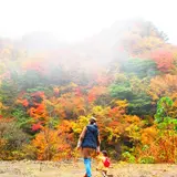 霧石峠