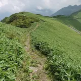 UFOライン（いの町道 瓶ケ森線）