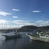 葉山港堤防