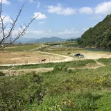 馬堀駅