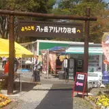 八ヶ岳アルパカ牧場