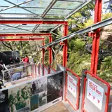 Scenic World
