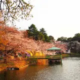 大宮公園