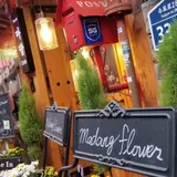 マダンフラワーカフェ 익선동