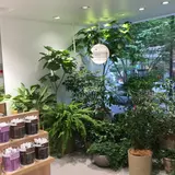 イニスフリー表参道本店