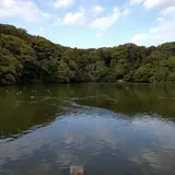 桜ケ池