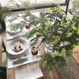 花屋マウンテン