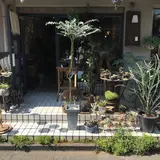 植物と古道具 plan／plants and antiques