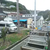 須崎ダイビングセンター