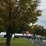 笠間芸術の森公園