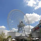 Redhorse OSAKA WHEEL