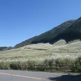 仙石原
