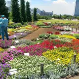 夢の広場
