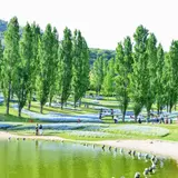 ニジゲンノモリ　林間広場
