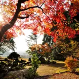 興聖寺