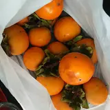 手作りパン ナトリ