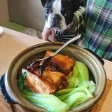 上海料理 張記小龍包
