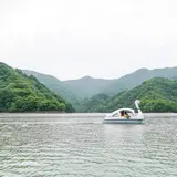二子島森林公園キャンプ場